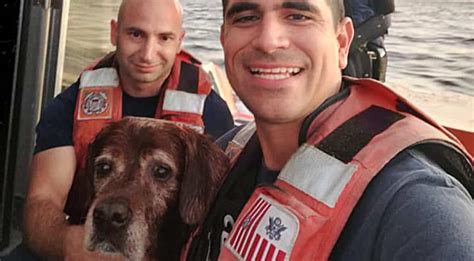 Us Coast Guard Rescued Dog Swimming Out To Sea In Florida