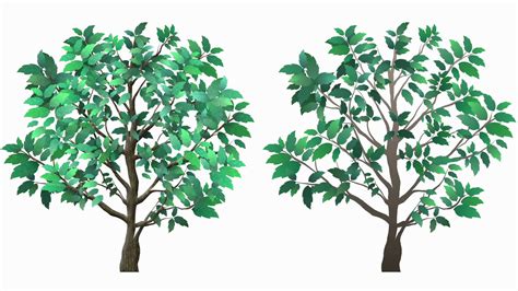 Browse our moving tree animation images, graphics, and designs from +79.322 free vectors graphics. Isolated Growing Tree Animation Motion Background ...