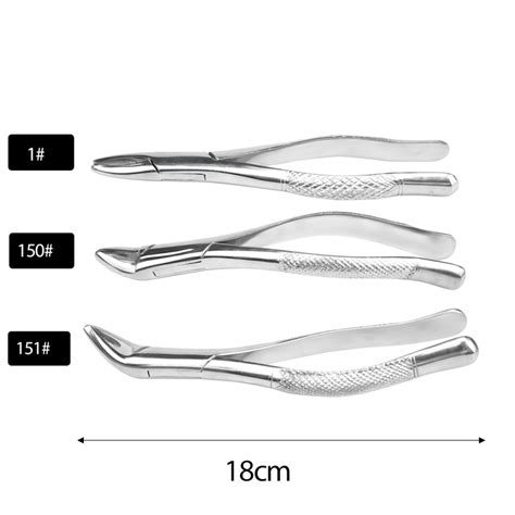 Adult Tooth Extracting Forceps Pliers Dentist Surgical Extraction