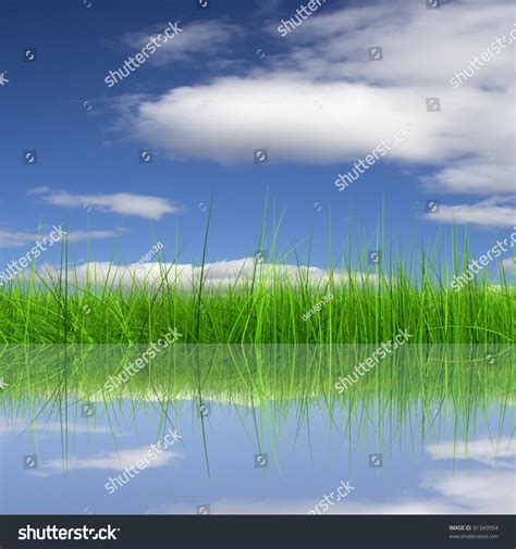 Green Grass Over A Blue Sky Background And Reflection In Water Ideal