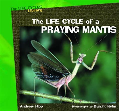 9780823958672 The Life Cycle Of A Praying Mantis Life Cycles Library