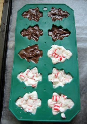 Beautiful molded chocolates are surprisingly easy to create at home. using silicone ice cube mold for peppermint bark and ...