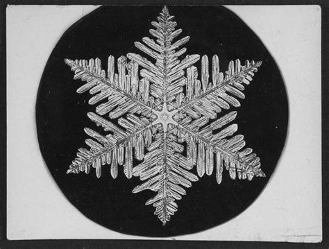 The Innovative Photos That Proved No Two Snowflakes Are Alike
