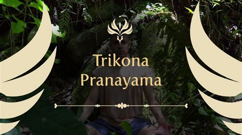 guided pranayama triangle breathing technique activate prana guided breathing exercise