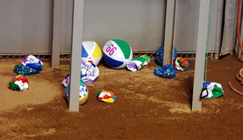 Captured And Tortured Beach Balls Are Finally Found And Other Am News