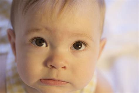 Babies Dont Soon Forget Angry Behavior Studies Show