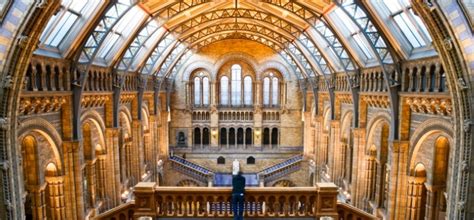 Top 5 Best Museums In London Top Universities