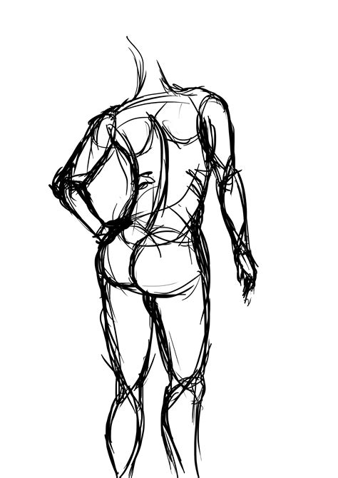 Human Body Line Drawing At Getdrawings Free Download