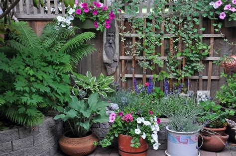 Colourful Shade Pot Garden Ideas Triple Tree Nurseryland