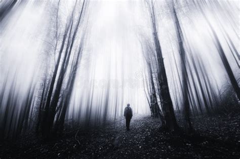 Ghost In Dark Haunted Forest On Halloween Stock Photo Image Of Mist