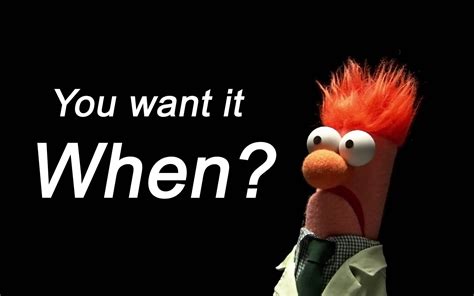 🔥 Free Download Funny Muppet Quotes Quotesgram 1920x1200 For Your