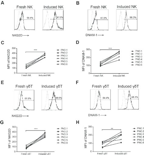 NKG2D and DNAM 1 expression in induced and fresh NK and γδ T cells The