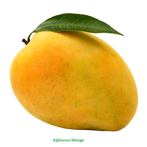 Mango Png Png All