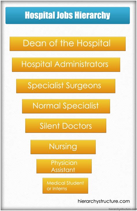 Hospital Jobs Hierarchy Hierarchical Structures And Charts