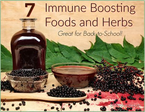 A healthy immune system is the bedrock of your body's health. 7 Immune Boosting Foods and Herbs for Back to School Immunity
