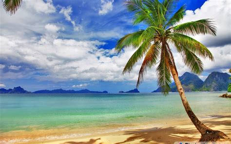 Tropical Relax Wallpapers Wallpaper Cave