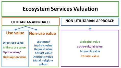 Forests Free Full Text Valuing Forest Ecosystem Services Why Is An