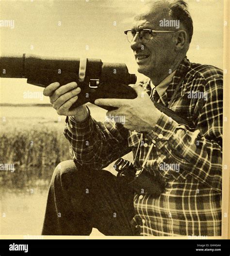 The Canadian Field Naturalist 1980 Stock Photo Alamy