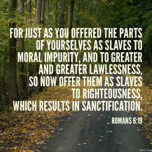 Bible verses related to increase from the king james version (kjv) by relevance. Jeremy Carroll | Pursuit of righteousness