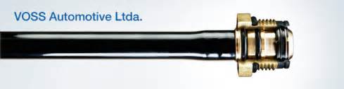 Kspg automotive brazil, division ms motor service brazil. Empresa | VOSS Automotive Ltda.