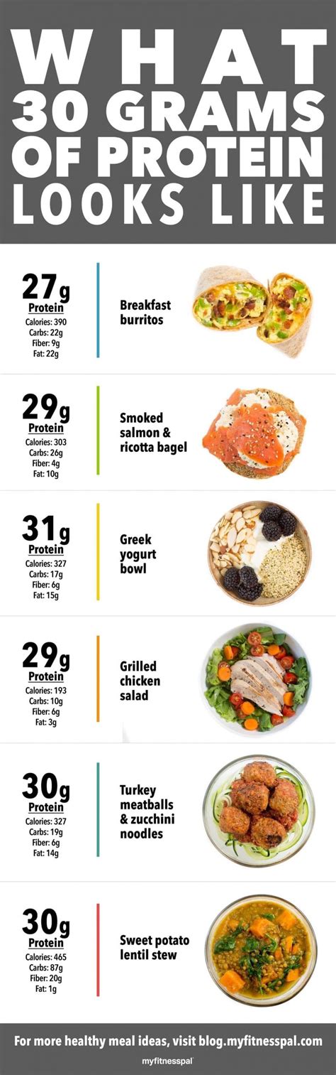 What The Ideal Amount Of Protein Looks Like Infographic Nutrition