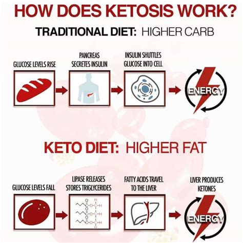 Keto Diet Plan For Beginners Step By Step Guide Ketodietforhealth