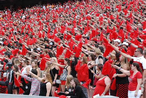 University Of Georgia Football Traditions And Chants
