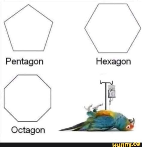 hexagon memes best collection of funny hexagon pictures on ifunny brazil