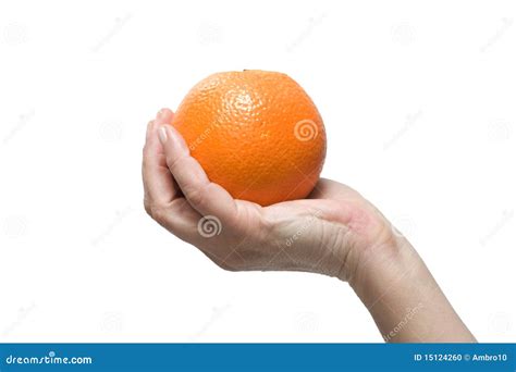 Hand Holding An Orange Stock Photo Image Of Person Background 15124260