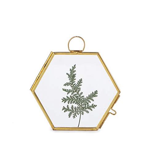 Ncyp 35 Inches Small Gold Hexagon Hanging Glass Floating Frame For