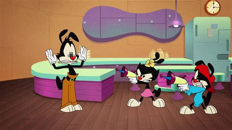 Animaniacs Wallpapers Wallpaper Cave