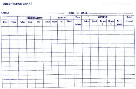 Download Hospital Observation Chart Gantt Chart Excel Template