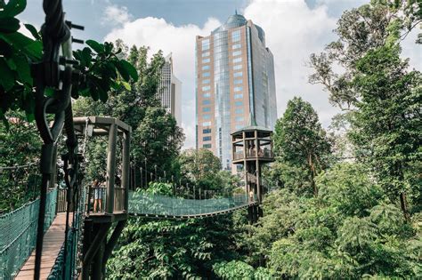 Once known as mount weld forest reserve (or bukit gombak forest reserve), it became bukit nanas forest reserve, before finally landing upon its final iteration of the kuala lumpur forest eco park. The best things to do in Bukit Bintang, Kuala Lumpur