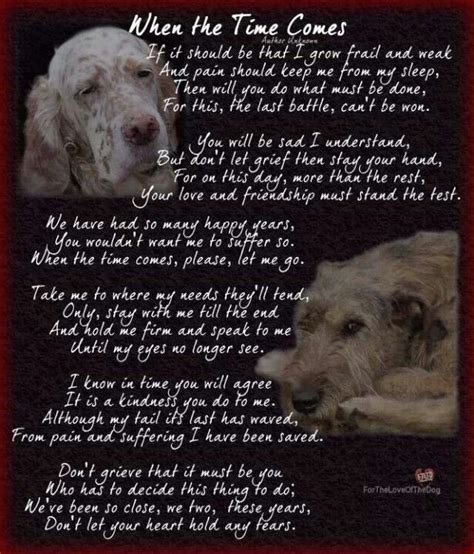 Comfort For Pet Loss Dog Poems Dog Quotes Pet Remembrance