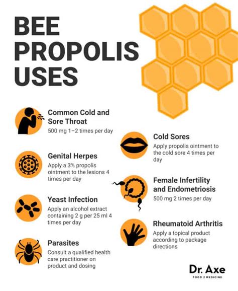Bee Propolis Health Benefits How To Use And Dosage Dr Axe