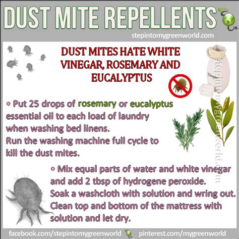 Kill Dust Mites Allergy Cleaning Allergy Remedies Dust Mite Spray