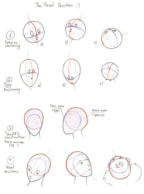 How To Draw Head By Xanthfilatine On Deviantart