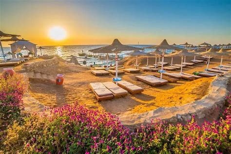 Top Attractions In Sharm El Sheikh In Full Day Tour From Cairo Cairo