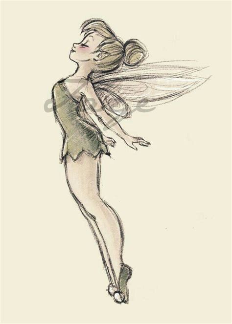 Desenhos Tinkerbell By Autor Desconhecido Tinkerbell Beauty And The