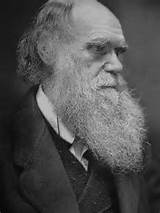 Photos of Theory Evolution By Charles Darwin