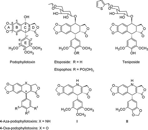 Structures Of Podophyllotoxin And Its Analogs Download Scientific