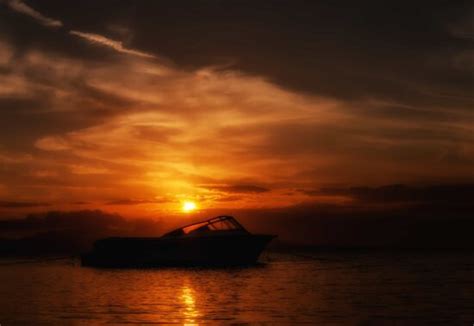 Kostenlose Bild Wasser Sonnenuntergang Strand Meer Hund Tier