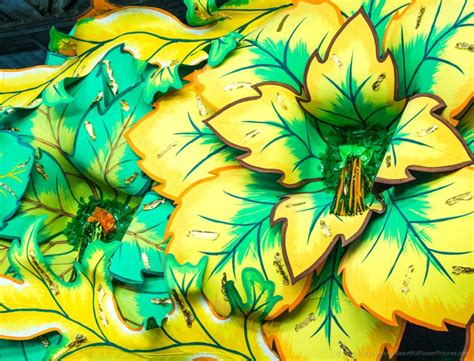 We did not find results for: Flowers at Mardi Gras World :: Beautiful Flower Pictures Blog