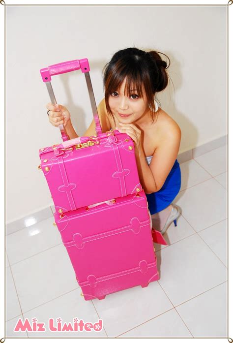 Pink Vintage Luggage Porn Pictures