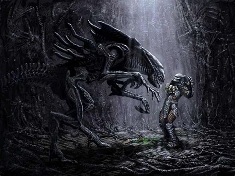 Queen Alien And Predator Alien Vs Predator Predator Giger Alien