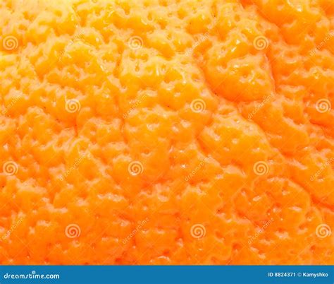 Skin Of Orange Close Up Stock Image Image 8824371