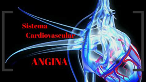 Sistema Cardiovascular By Jefferson Luiz Ferreira