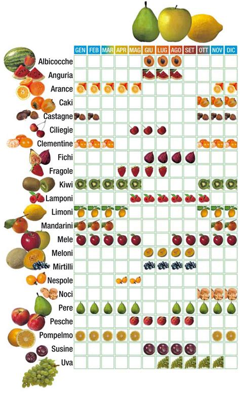 Calendario della frutta e verdura di stagione - Esplorando le scienze!