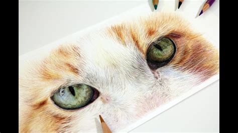 How To Draw Cat Eyes With Coloured Pencil Realistic Drawing Tutorial Youtube