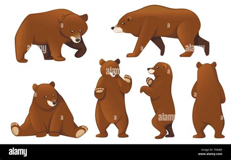 Set Of Grizzly Bears North America Animal Brown Bear Cartoon Animal